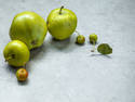 Wild Apples