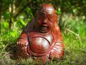 Mini Budai