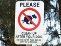 Clean Up After Your Dog