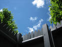 Fenced Sky