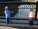 Creek Watchers