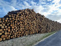 Log Pile