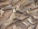 Dried Mud