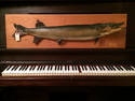 Pike Piano