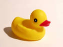 Rubber Duck