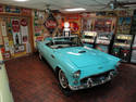 Turquoise Thunderbird