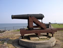 Cannon