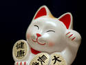 Lucky Cat