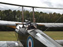 Triplane Cockpit