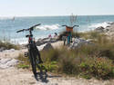 Beach Bikes