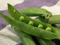 Pea Pods