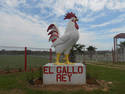 El Gallo Rey