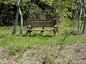 Nature Bench