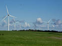 Windmill Farm