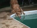 Pool Retrieval