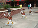 Marching Ducks