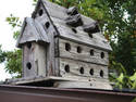 Purple Martin Chapel