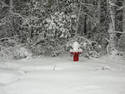 Snowy Hydrant