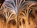 Ornate Ceiling