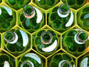 Bottle Hive