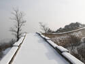 Snow on the Wall