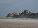 Grassy Dunes