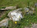 Rocks In A Field