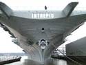 The Intrepid