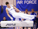 Pommel Horse