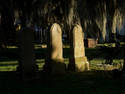 Shaded Headstones