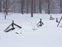 Snowy Fence