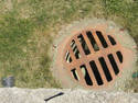 Sunny Sewer