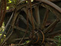 Old Cart Wheel