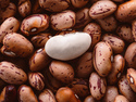 Brown Beans White Bean