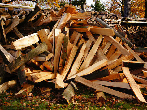 Firewood