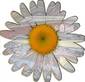 Mosaic Daisy