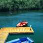 On The Dock