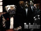 The Dogfather