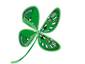 Irish Luck