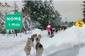 Iditarod Last Mile