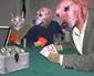 Poker Night