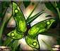 Green Butterfly