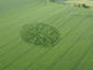 Crop Circle Carvings