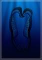 Seahorses in Love