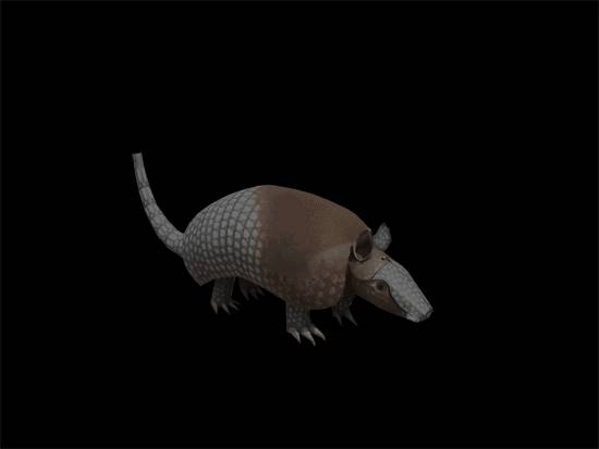 dancin armadillo