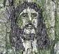 Jesus in a Tree