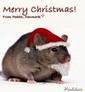 Xmas Rat! - DK Julerotte