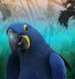  ~ Parrot's Paradise ~