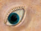 eye