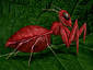 Red Bug